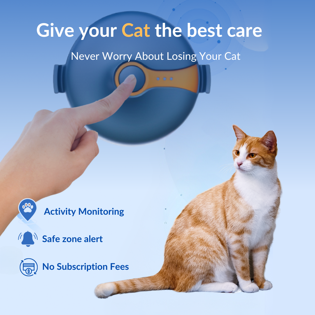 KittyFind GPS Collar