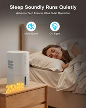 Load image into Gallery viewer, Osmo Dehumidifier
