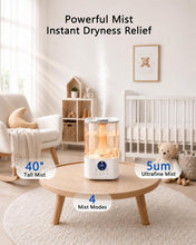 Load image into Gallery viewer, Osmo Humidifier
