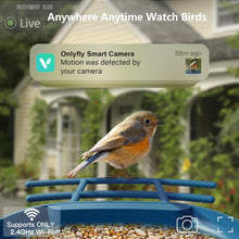 Load image into Gallery viewer, NestIQ
