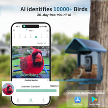 Load image into Gallery viewer, NestIQ
