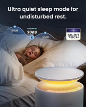 Load image into Gallery viewer, Osmo AirPurify Pro
