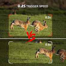 Load image into Gallery viewer, WildPro
