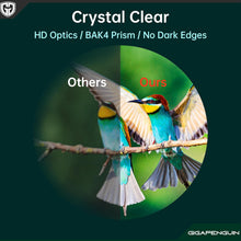 Load image into Gallery viewer, OpticEdge
