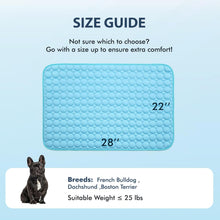 Load image into Gallery viewer, FrostPaws

