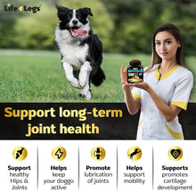 Load image into Gallery viewer, Osmo DoggoJoint
