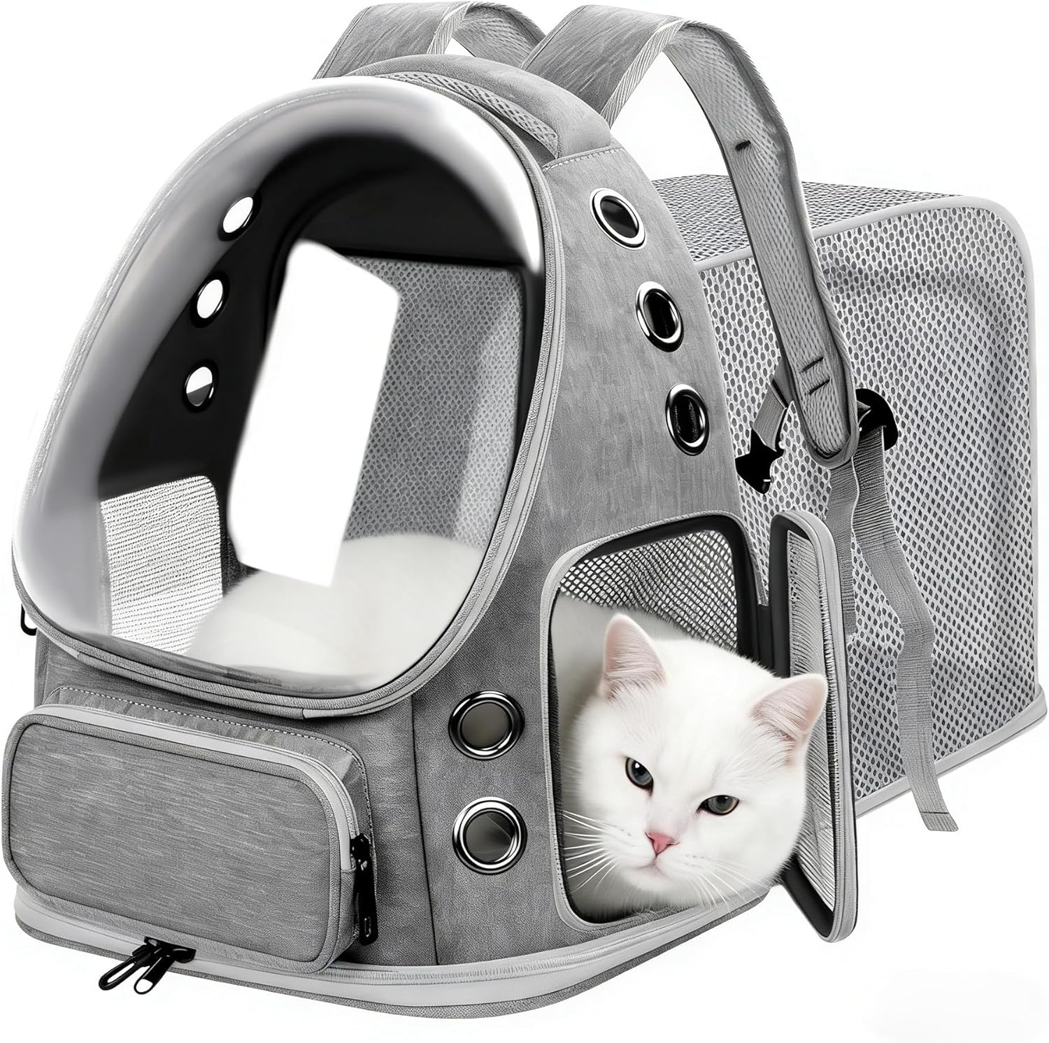 CatVista