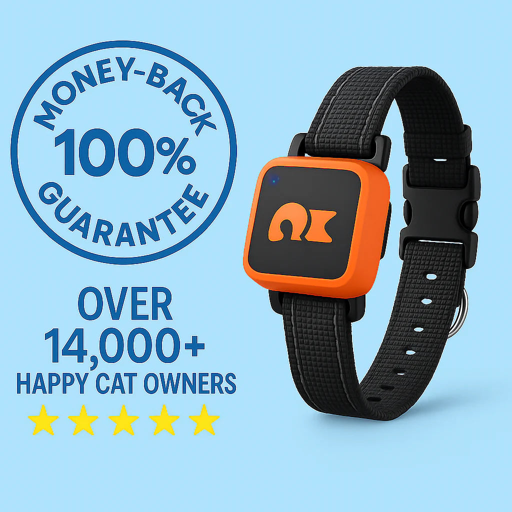 KittyFind GPS Collar