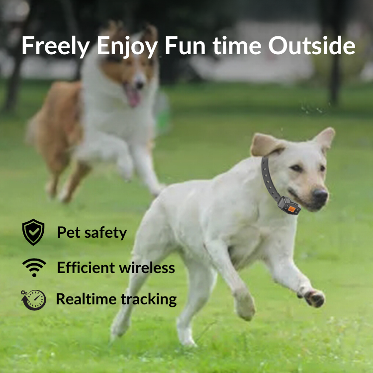 Osmo DoggoFence GPS Wireless Fencing