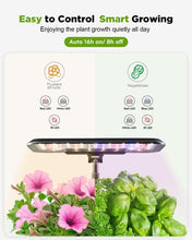 Load image into Gallery viewer, HydroVital
