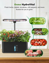 Load image into Gallery viewer, HydroVital
